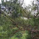 노루목상회 이미지