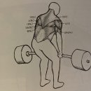 신기시장 사거리 이미지