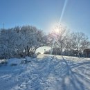(주)에이엠에이 | [프랑스 봄학기 교환학생] 프랑스 larochelle 대학교 1주차 후기 2편(폭설로 인한 셧다운)