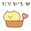 강릉애 진심 이미지