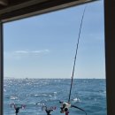 88낚시 | 2026년 3월 제주도 갑오징어 낚시 여행