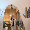 말랑 | 대전 수제 와플 맛집 말랑한입 (말차딸기 말랑와플 후기)