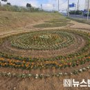 꽃으로노래하다 이미지