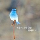 닉 바꾸어요 (안젤리코ㅡ자몽으로) 이미지