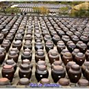 서일여행 이미지