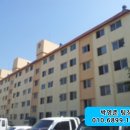 조양로232번길 이미지