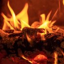 서초행정사사무소 이미지