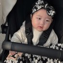 디럭스유모차 부가부 폭스3 사용후기 배시넷 졸업시기