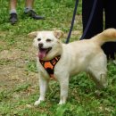 리버하우스 이미지