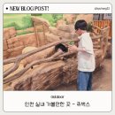 애완동물원 | [인천 실내 아이와함께 가볼만한 곳] 요즘 핫플 실내동물원 쥬벅스 재방문 후기