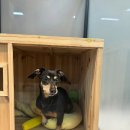 동물보육원 김포지부 이미지