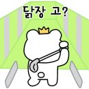 파라다이스골프랜드