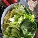 녹색오토캠핑장 이미지