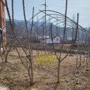 인향공인중개사사무소 이미지