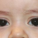 라메종옵티크 이미지