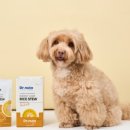 미음펫푸드 이미지