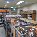 옥정강아지 이미지