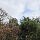 범어근린공원 이미지