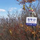 잠두산[蠶頭山] 1243m 강원 평창 이미지