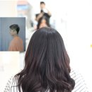 저스트샤인