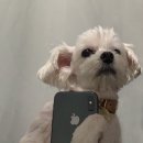 우먼하우스