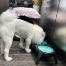 퍼플 당구장 이미지