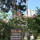 영덕레스피아 풋살장 이미지
