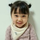 제이조이