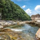 고요산책 이미지