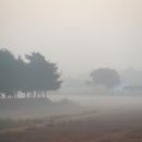 안개 농촌체험 휴양마을 이미지