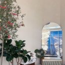 고성명태 한수위 이미지