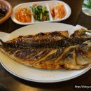 털보고된이 이미지