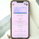 홍천무네미별마루관광농원 이미지