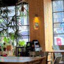 브라질아마존 | 전주 만성동 오쿠보울 아사이볼 후기, 아사이볼 맛집 | 데이트하기 좋은 예쁜카페 추천(전주법원.기지제...