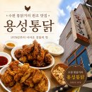 닭 튀기는 공장 | 수원 통닭거리 맛집 ‘용성통닭’ 내돈내산 후기 | 왕갈비 통닭
