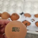 생담원농장 이미지