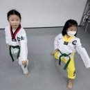 인성품태권도장 이미지