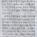풀밭나라 이미지
