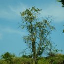 (주)이좋은세상 이미지