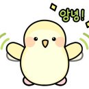협성대 구내 안경원