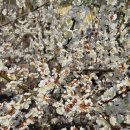 어영마을경로당 이미지