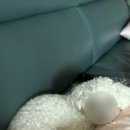 멜롬 이미지