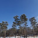 하얀천국 이미지