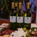 제이부티크 이미지