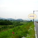 섬강초등학교 티스토리