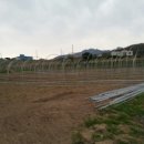 여주-0809 이미지