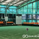 용인실내게이트볼장 이미지