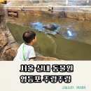 실내 아이랑 가볼만한곳 추천 | 영등포 타임스퀘어 주렁주렁 실내동물원 방문후기(입장권할인+주차정보)