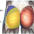 피니쉬 짐 이미지