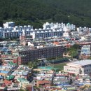 송학탕 네이버블로그